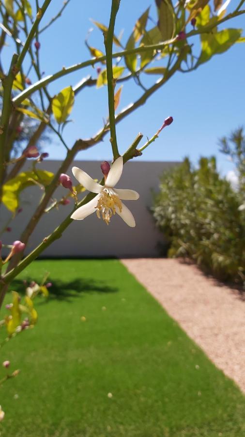 Villa Home Holiday A Cala Rossa Леччи Экстерьер фото