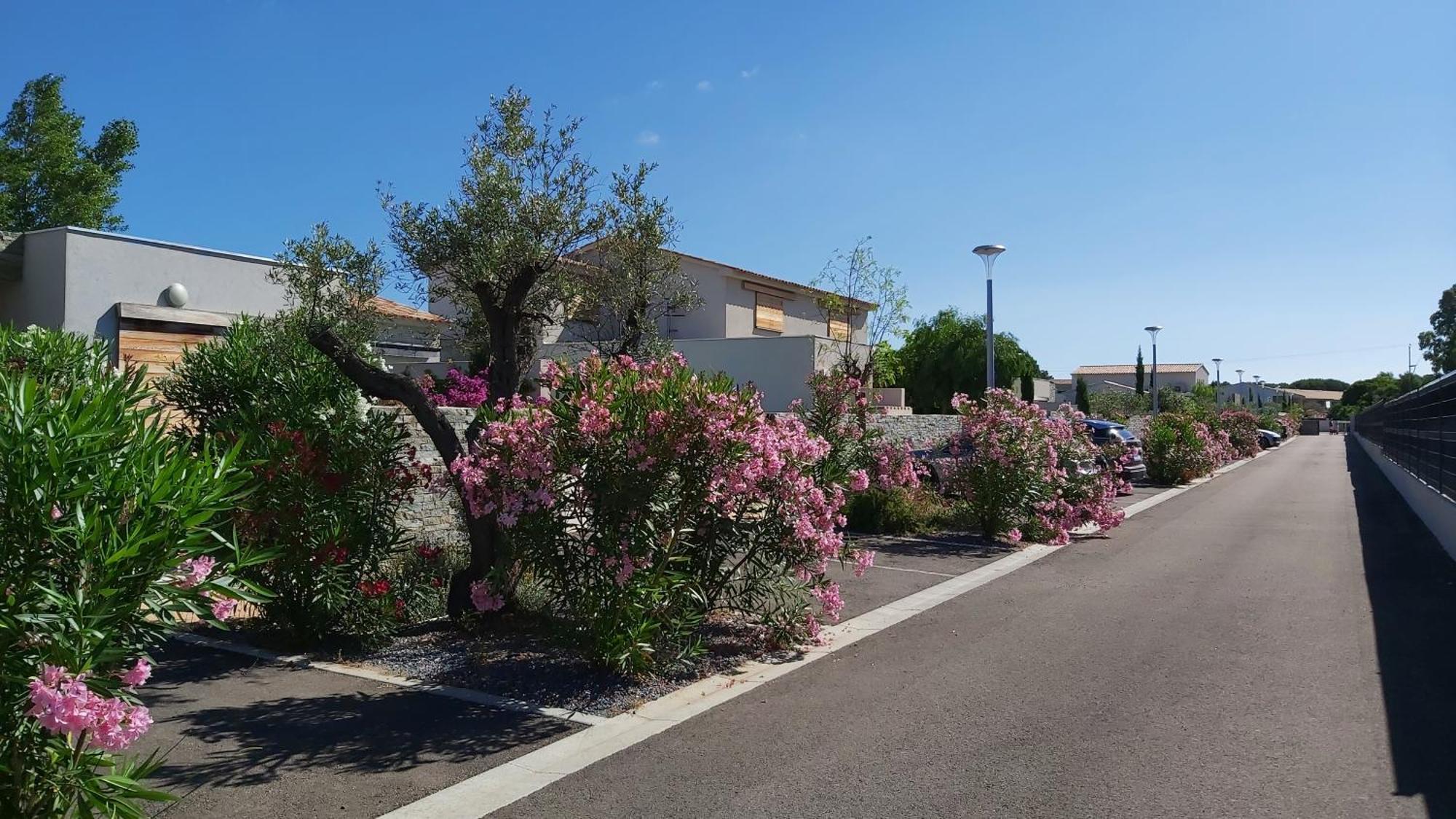 Villa Home Holiday A Cala Rossa Леччи Экстерьер фото