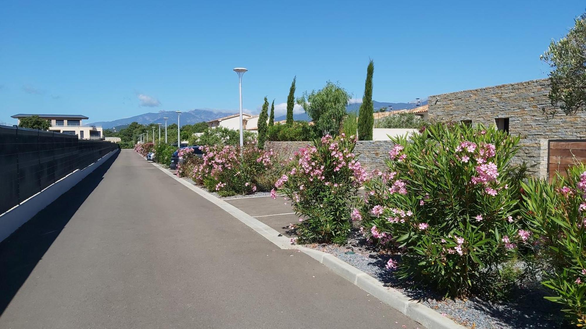 Villa Home Holiday A Cala Rossa Леччи Экстерьер фото